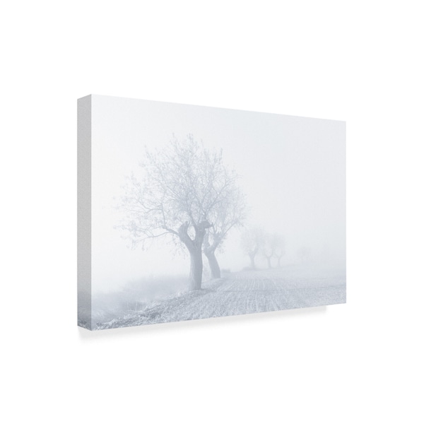 Eduardo Martin 'Foggy Sunday' Canvas Art,22x32